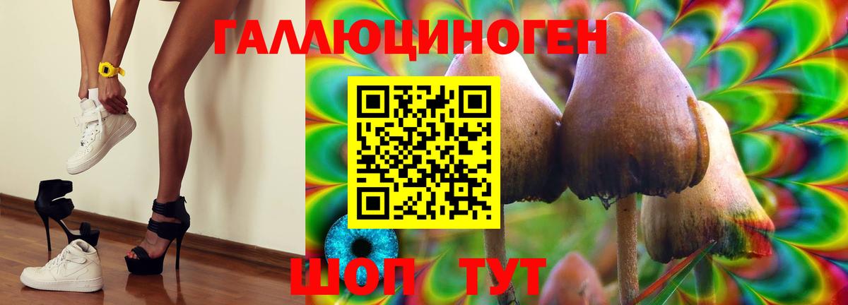 Галлюциногенные грибы MAGIC MUSHROOMS Белореченск