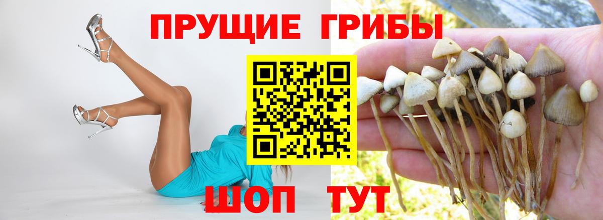 Белореченск  Псилоцибиновые грибы мицелий  Вход с VPN 